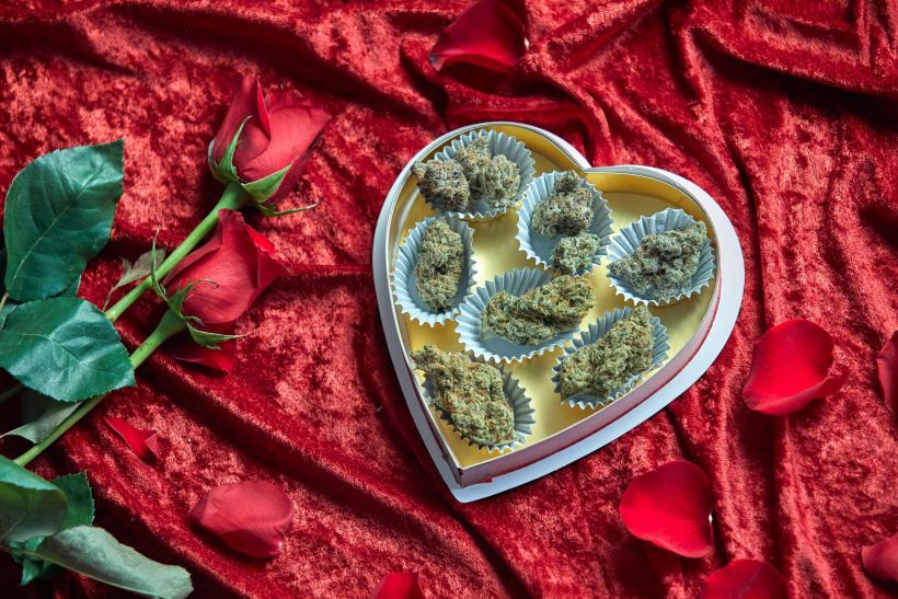 6-chocolate-weed-strains-worth-trying-this-valentine’s-day