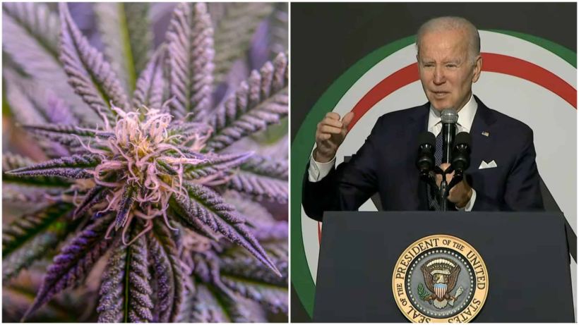biden-mentions-freeing-prisoners-with-cannabis-convictions-in-mlk-day-speech